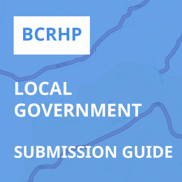 Local Government Submission Guide