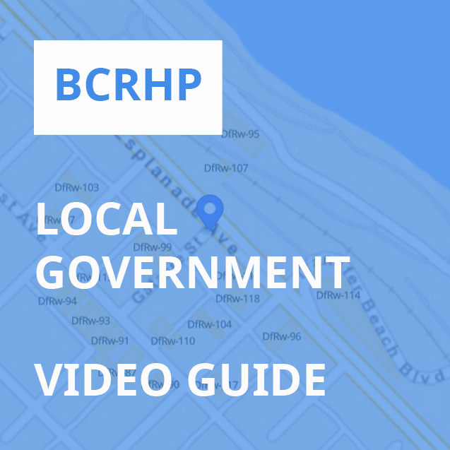Local Government Video Guide